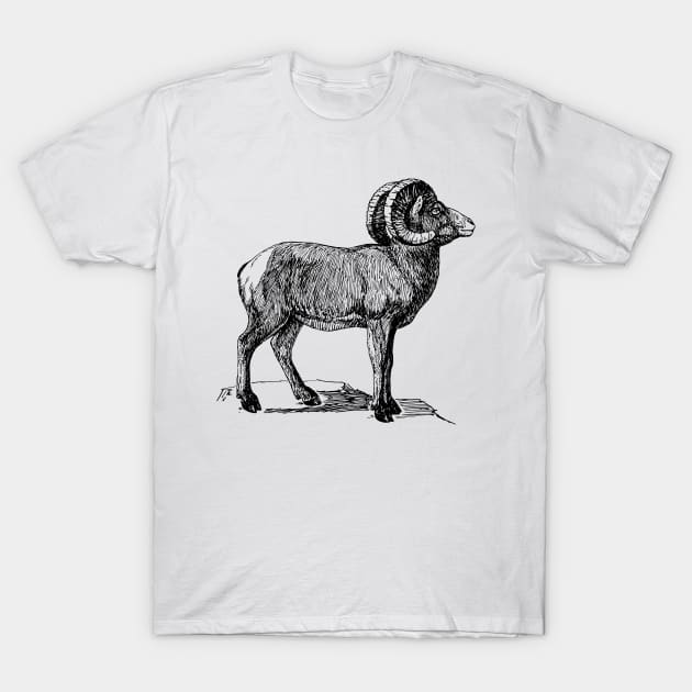 Bighorn T-Shirt by Netdweller